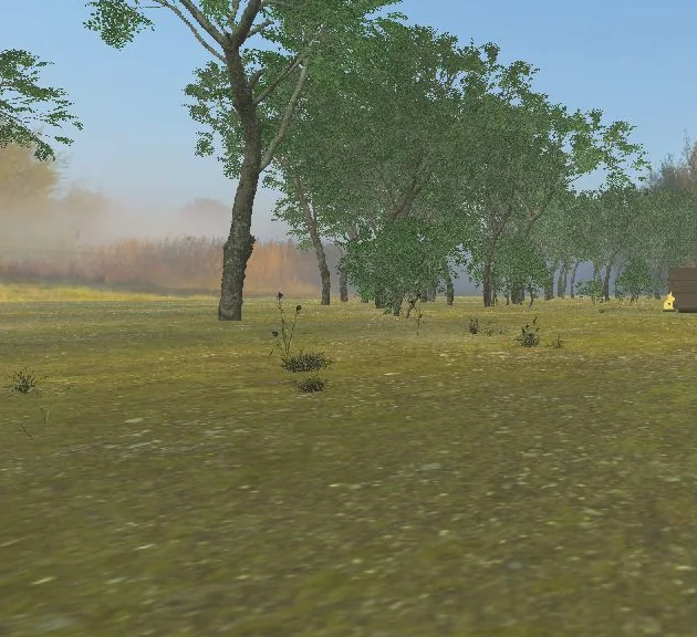 Trees, grass and a distant silhouette target on Airgun’s woodland Hunter Field Target course.